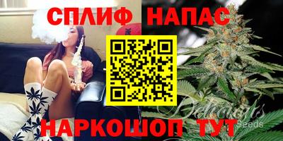 гашик Владикавказ