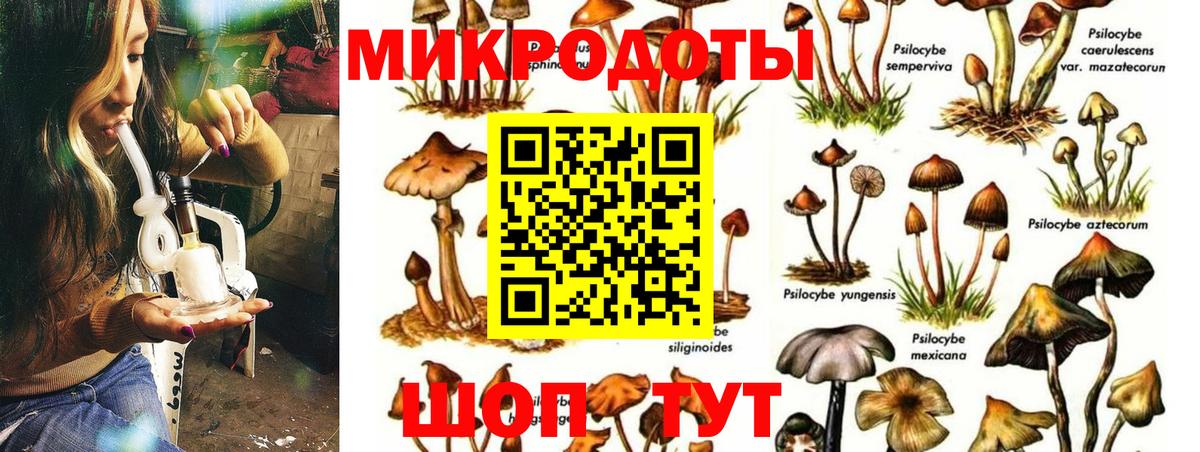 Псилоцибиновые грибы Cubensis  Вход с VPN  Кохма 