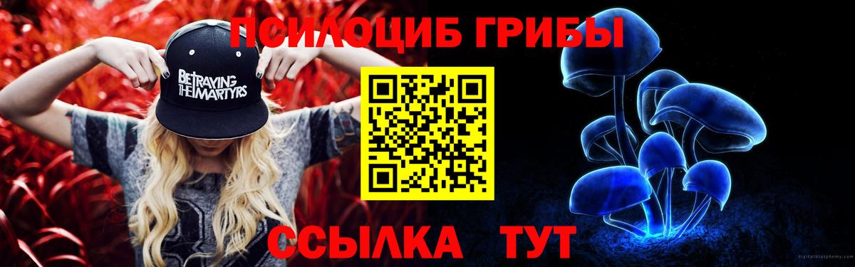 Галлюциногенные грибы GOLDEN TEACHER Кохма