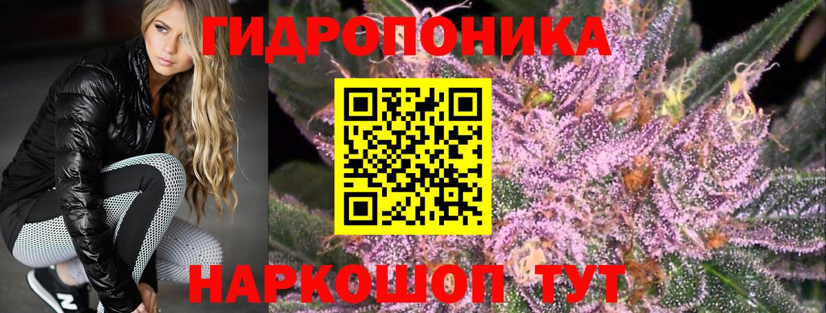 Бошки марихуана Bruce Banner Кохма